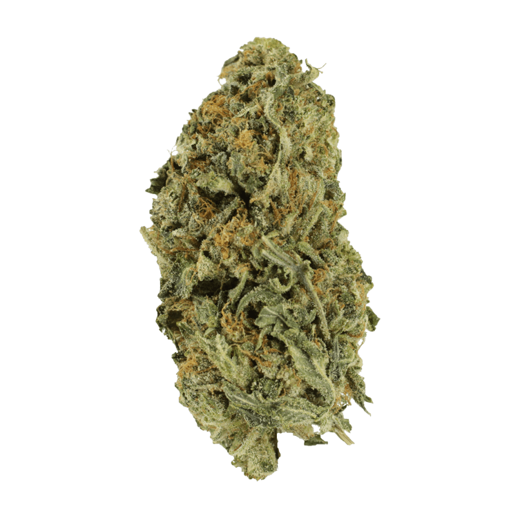 Chocolate Kush – 1 ounce | BC Weed Edible Canada Chocolate Kush – 1 ounce | BC Weed Edible Canada