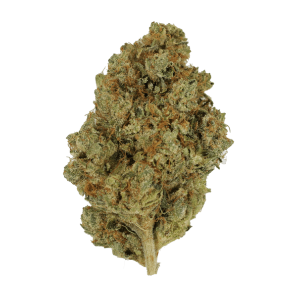Nepalese | BC Weed Edible Canada Nepalese | BC Weed Edible Canada