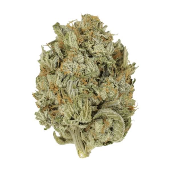 Blue Dream (Popcorn) | BC Weed Edible Canada Blue Dream (Popcorn) | BC Weed Edible Canada