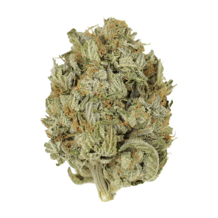 Blue Dream (Popcorn) | BC Weed Edible Canada Blue Dream (Popcorn) | BC Weed Edible Canada