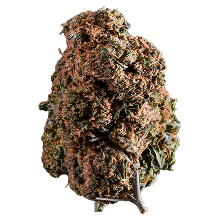 Champagne Diesel – 1 Ounce | BC Weed Edible Canada Champagne Diesel – 1 Ounce | BC Weed Edible Canada