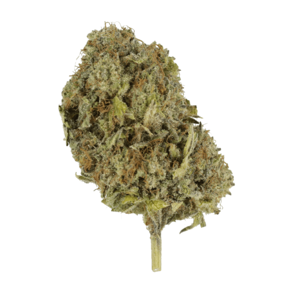 God’s Green Crack | BC Weed Edible Canada God’s Green Crack | BC Weed Edible Canada