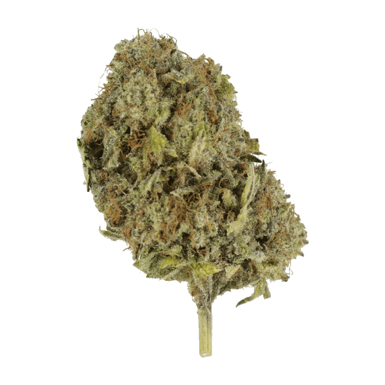 God’s Green Crack | BC Weed Edible Canada God’s Green Crack | BC Weed Edible Canada