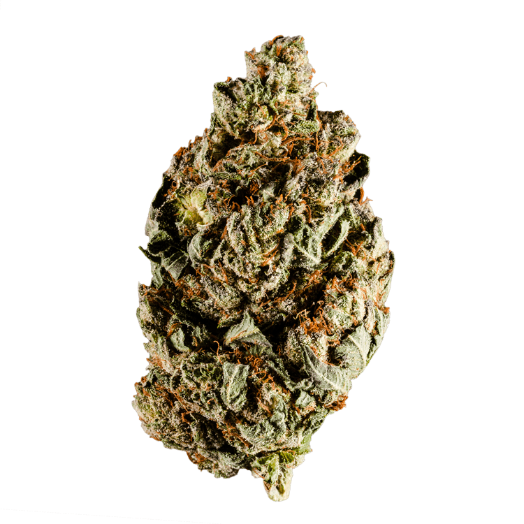 Platinum GSC – 1 ounce | BC Weed Edible Canada Platinum GSC – 1 ounce | BC Weed Edible Canada