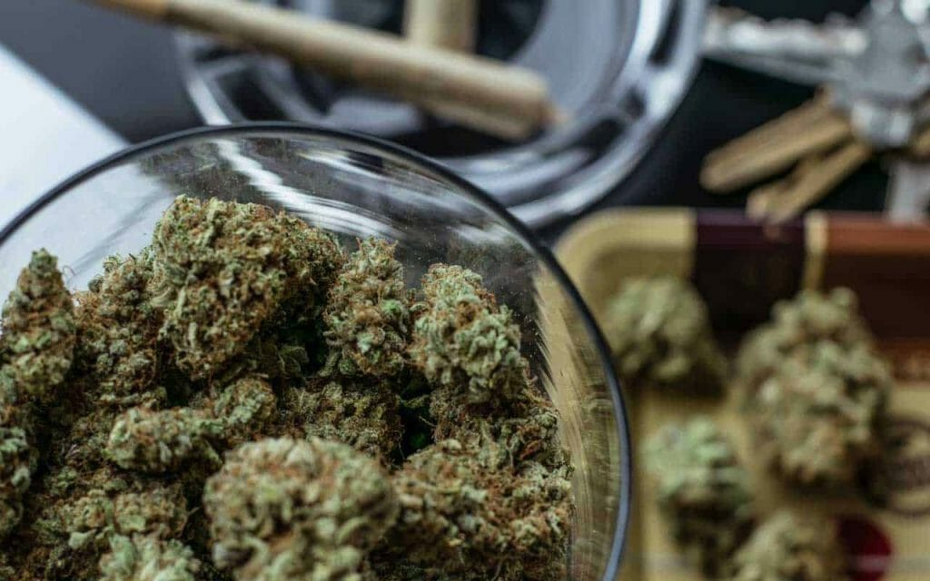 | BC Weed Edible Canada Premium edibles vs Affordable Weed | BC Weed Edible Canada