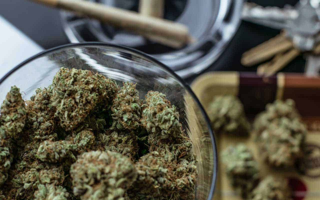 | BC Weed Edible Canada Premium edibles vs Affordable Weed | BC Weed Edible Canada
