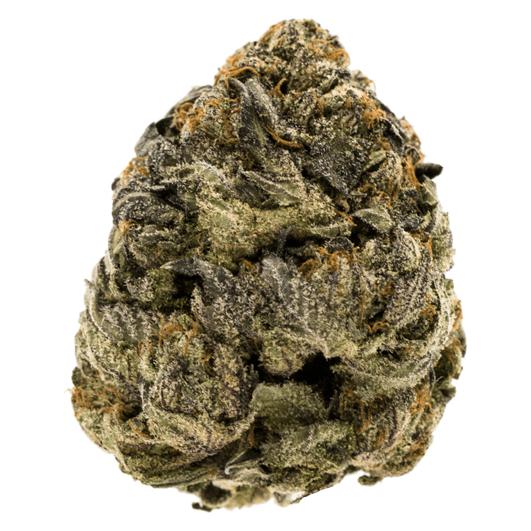 Girl Scout Cookies | BC Weed Edible Canada Girl Scout Cookies | BC Weed Edible Canada
