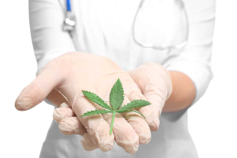 | BC Weed Edible Canada Cannabis as a natural cure for pain | BC Weed Edible Canada