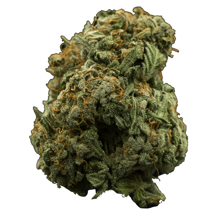 Lavender | BC Weed Edible Canada Lavender | BC Weed Edible Canada