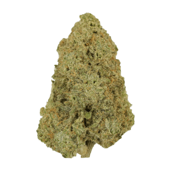 Super Silver Haze | BC Weed Edible Canada Super Silver Haze | BC Weed Edible Canada