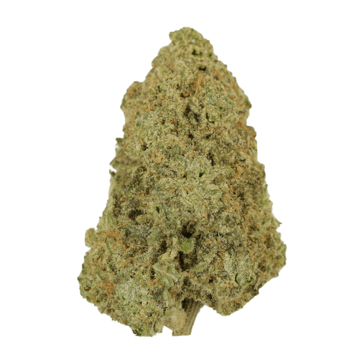 Super Silver Haze | BC Weed Edible Canada Super Silver Haze | BC Weed Edible Canada