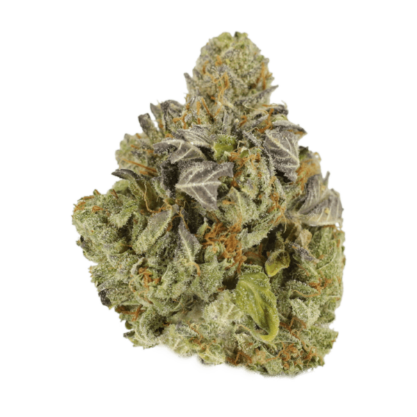 Jet Fuel | BC Weed Edible Canada Jet Fuel | BC Weed Edible Canada
