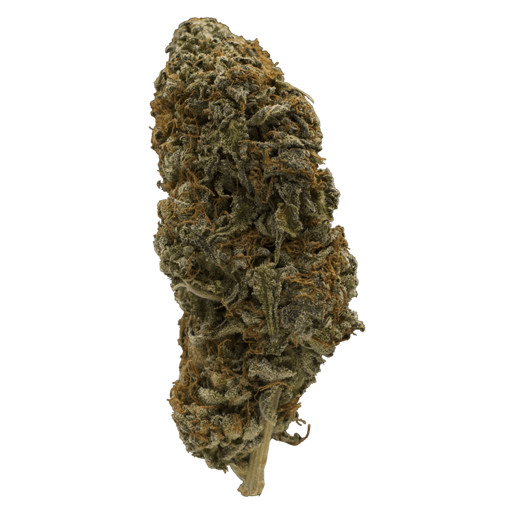 Sky Master – 1 ounce | BC Weed Edible Canada Sky Master – 1 ounce | BC Weed Edible Canada