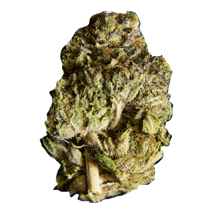 Guava Gelato | BC Weed Edible Canada Guava Gelato | BC Weed Edible Canada