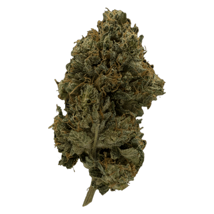 Agent Orange – 1 Ounce | BC Weed Edible Canada Agent Orange – 1 Ounce | BC Weed Edible Canada