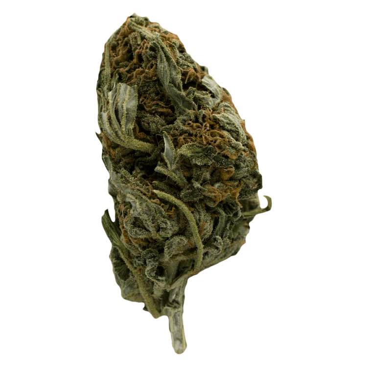 Seawarp (Greenhouse) – 1 ounce | BC Weed Edible Canada Seawarp (Greenhouse) – 1 ounce | BC Weed Edible Canada