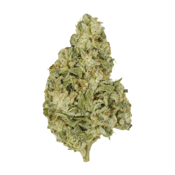 Zombie OG | BC Weed Edible Canada Zombie OG | BC Weed Edible Canada