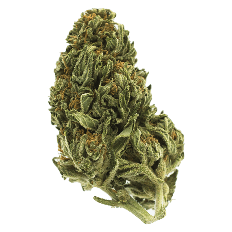 Chem fire – 1 ounce | BC Weed Edible Canada Chem fire – 1 ounce | BC Weed Edible Canada