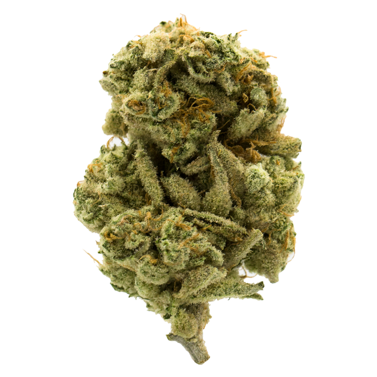 Mango Sherbert | BC Weed Edible Canada Mango Sherbert | BC Weed Edible Canada
