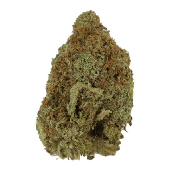 Mango Haze | BC Weed Edible Canada Mango Haze | BC Weed Edible Canada