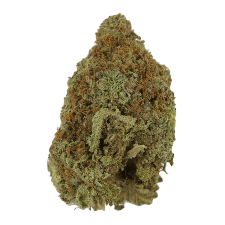 Mango Haze | BC Weed Edible Canada Mango Haze | BC Weed Edible Canada