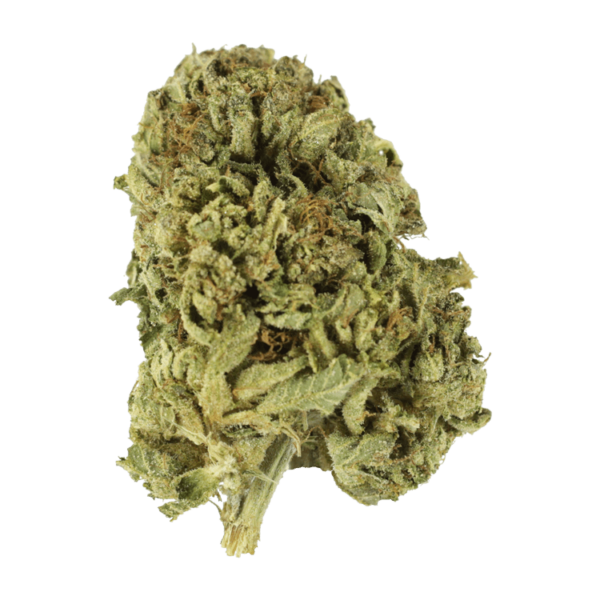 Sour Diesel | BC Weed Edible Canada Sour Diesel | BC Weed Edible Canada
