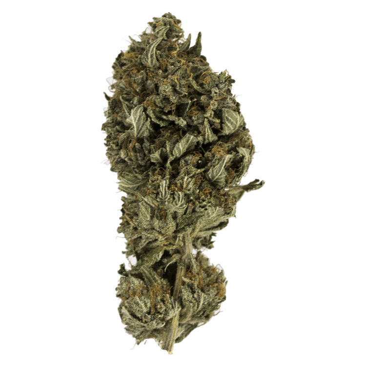 Hollyweed – 1 ounce | BC Weed Edible Canada Hollyweed – 1 ounce | BC Weed Edible Canada