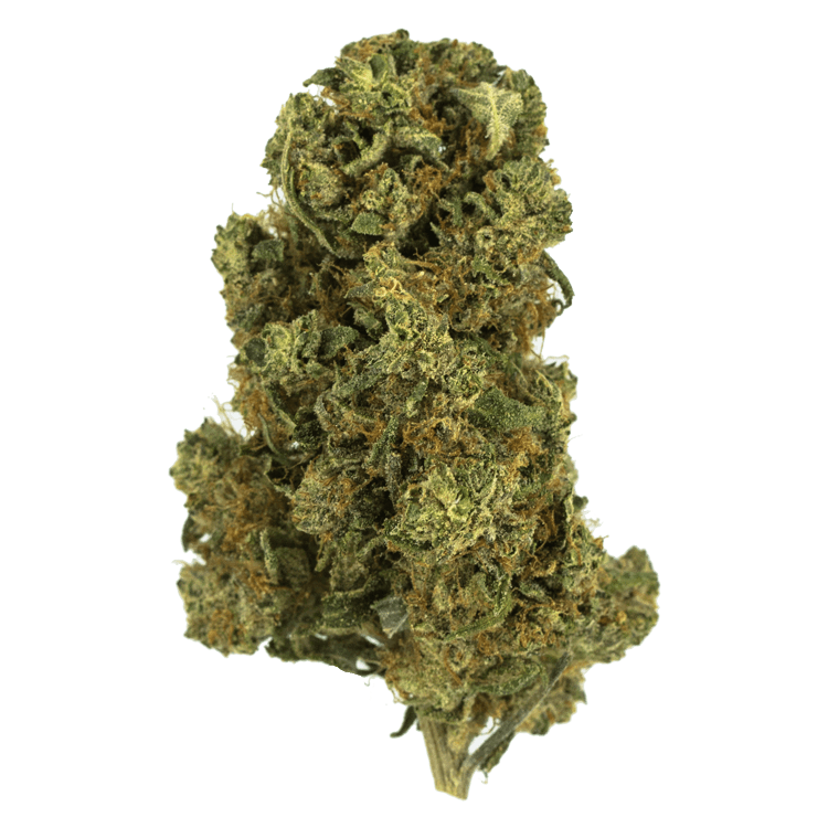 Blue Kiwi – 1 ounce | BC Weed Edible Canada Blue Kiwi – 1 ounce | BC Weed Edible Canada