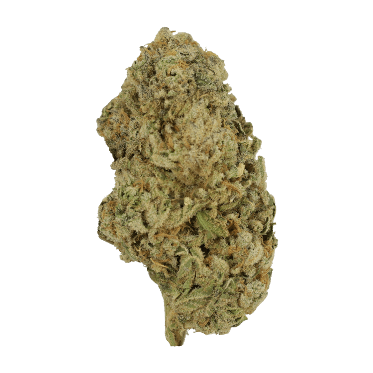Alien Cookies | BC Weed Edible Canada Alien Cookies | BC Weed Edible Canada