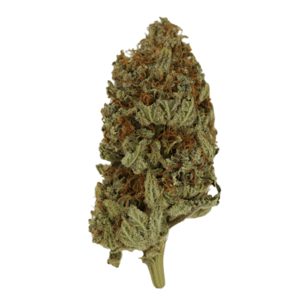 Congo | BC Weed Edible Canada Congo | BC Weed Edible Canada