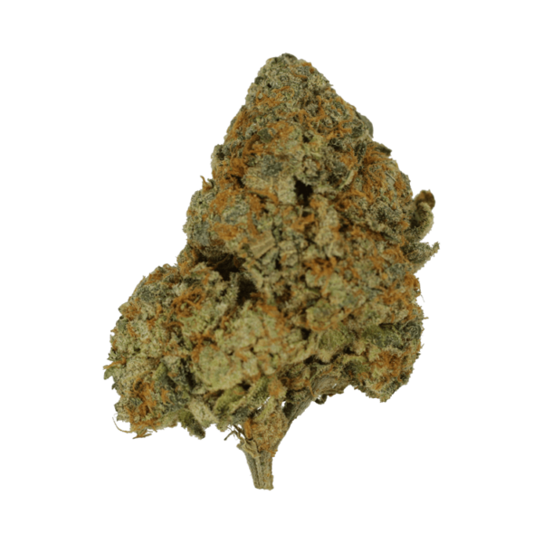 9lb Hammer | BC Weed Edible Canada 9lb Hammer | BC Weed Edible Canada