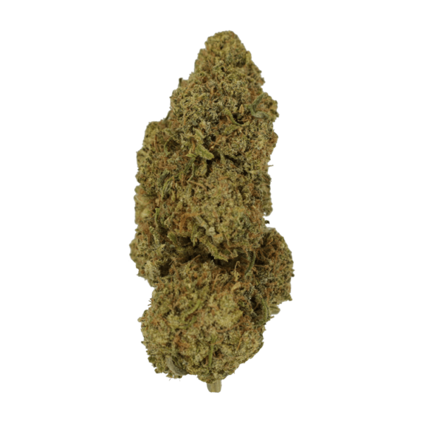 9lb Hammer | BC Weed Edible Canada 9lb Hammer | BC Weed Edible Canada