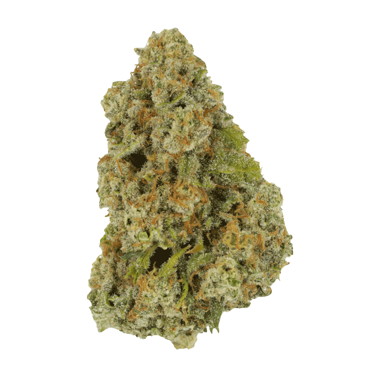 Colorado Diesel | BC Weed Edible Canada Colorado Diesel | BC Weed Edible Canada