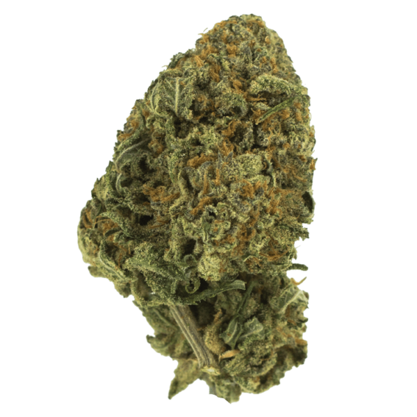 Black Nuken | BC Weed Edible Canada Black Nuken | BC Weed Edible Canada