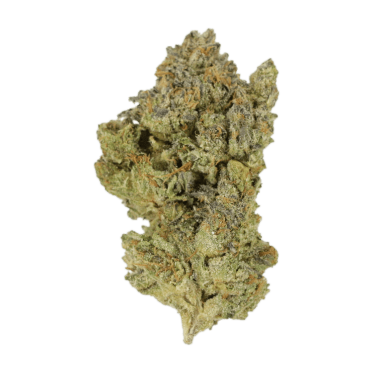 Golden Goat | BC Weed Edible Canada Golden Goat | BC Weed Edible Canada