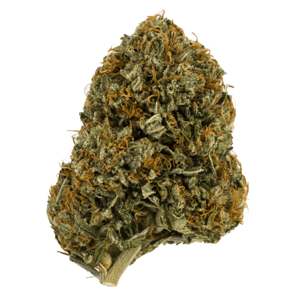 Wifi OG – 1 ounce | BC Weed Edible Canada Wifi OG – 1 ounce | BC Weed Edible Canada