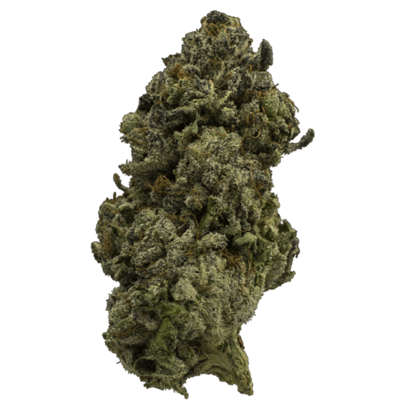 Fire Alien Urkle | BC Weed Edible Canada Fire Alien Urkle | BC Weed Edible Canada