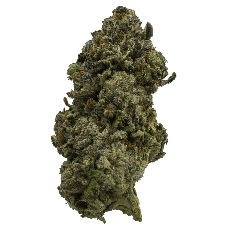 Fire Alien Urkle | BC Weed Edible Canada Fire Alien Urkle | BC Weed Edible Canada