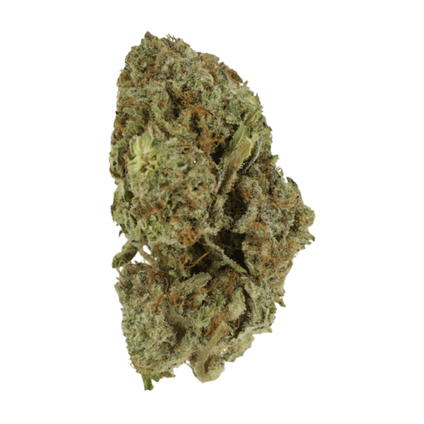 Gelato Sorbet – 1 ounce | BC Weed Edible Canada Gelato Sorbet – 1 ounce | BC Weed Edible Canada