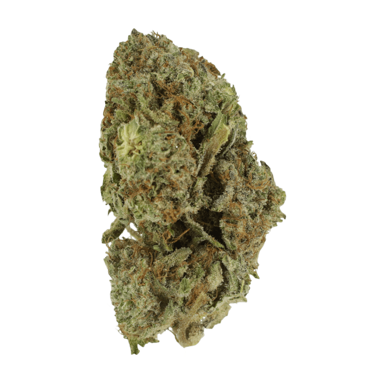 Gelato Sorbet – 1 ounce | BC Weed Edible Canada Gelato Sorbet – 1 ounce | BC Weed Edible Canada