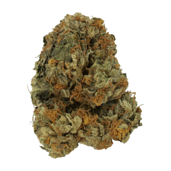 Dolato – 1OZ | BC Weed Edible Canada Dolato – 1OZ | BC Weed Edible Canada