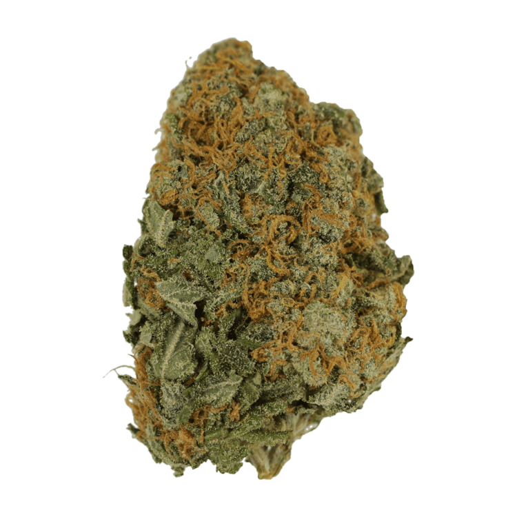 Master Kush Ultra | BC Weed Edible Canada Master Kush Ultra | BC Weed Edible Canada