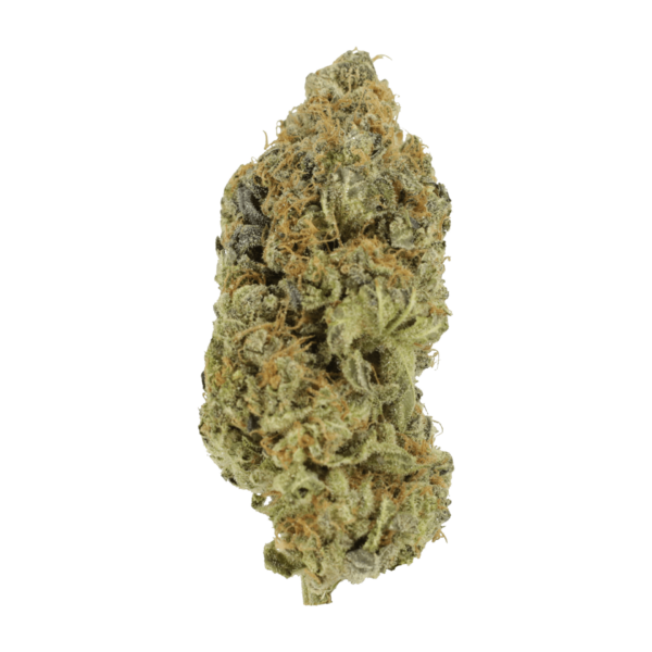 Critical Widow | BC Weed Edible Canada Critical Widow | BC Weed Edible Canada
