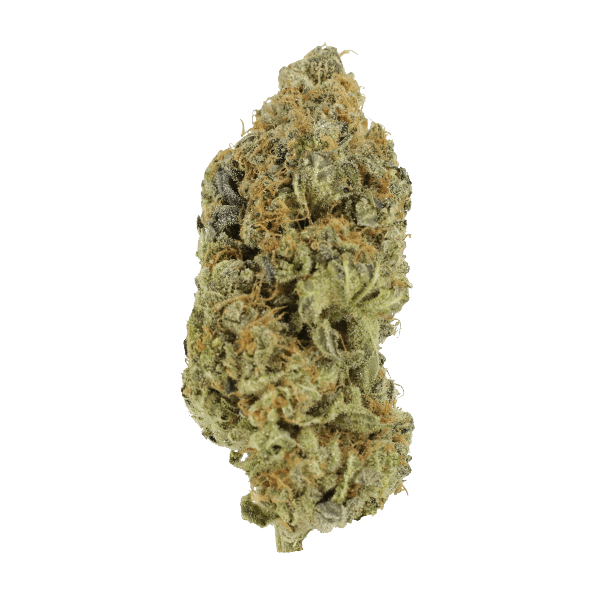 Critical Widow | BC Weed Edible Canada Critical Widow | BC Weed Edible Canada
