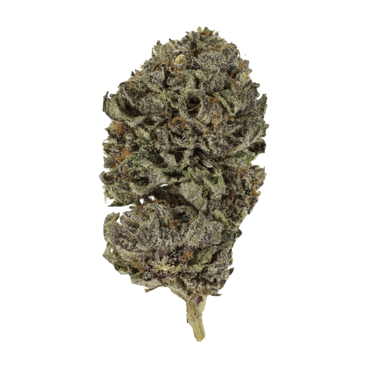 Purple Skunk | BC Weed Edible Canada Purple Skunk | BC Weed Edible Canada