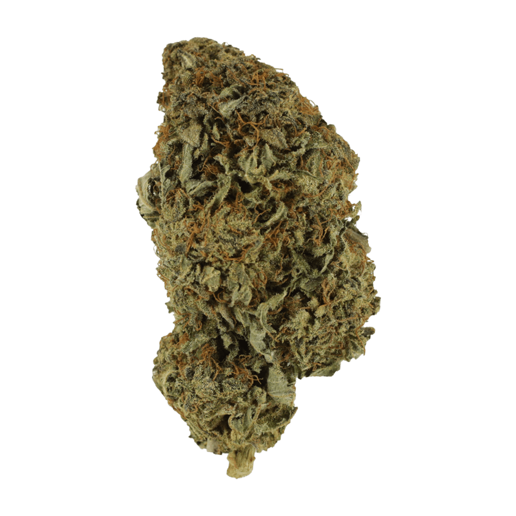 Sirius Black – 1 ounce | BC Weed Edible Canada Sirius Black – 1 ounce | BC Weed Edible Canada