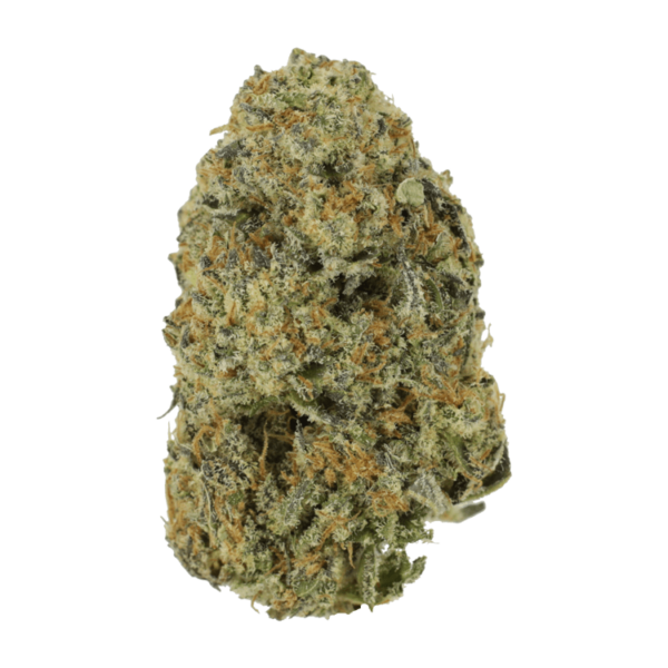 Northern Haze Express | BC Weed Edible Canada Northern Haze Express | BC Weed Edible Canada