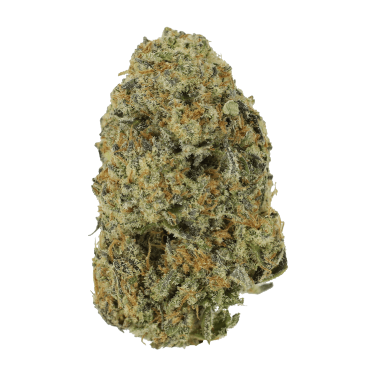 Northern Haze Express | BC Weed Edible Canada Northern Haze Express | BC Weed Edible Canada