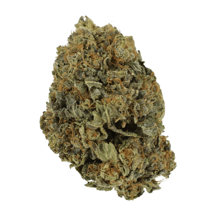 White Shark – 1 ounce | BC Weed Edible Canada White Shark – 1 ounce | BC Weed Edible Canada