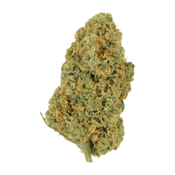 Lemon Bomb | BC Weed Edible Canada Lemon Bomb | BC Weed Edible Canada